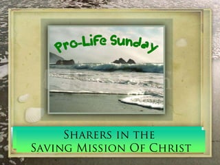 Sharers in the
5th Sunday In Ordinary Time
  Saving Mission Of Christ
 
