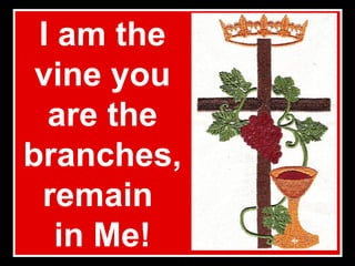 I am the vine you are the branches, remain  in Me! 