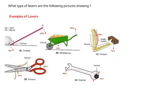 What type of levers are the following pictures showing ?
 