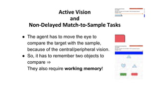● The agent has to move the eye to
compare the target with the sample,
because of the central/peripheral vision.
● So, it ...