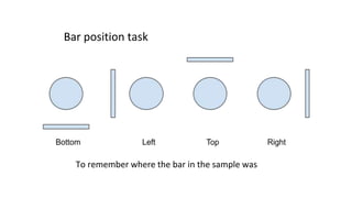 Bar position task
To remember where the bar in the sample was
 