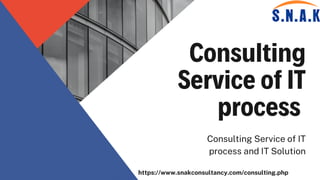 Get Consulting Service of IT process and IT Solution