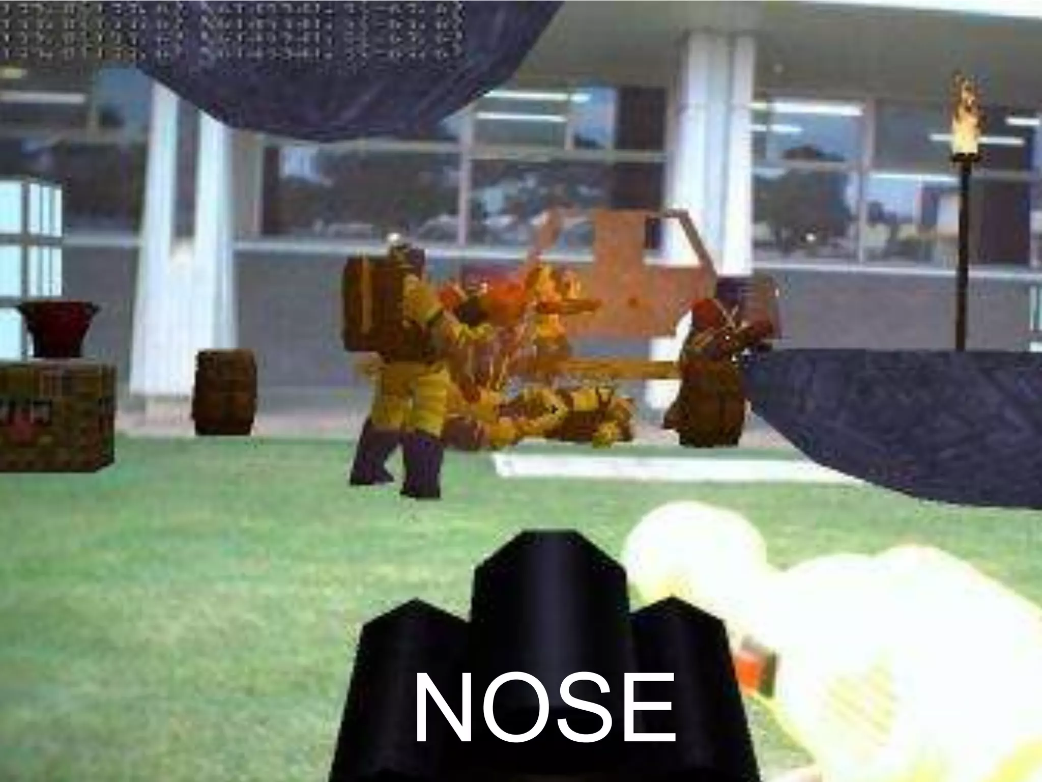 NOSE
 