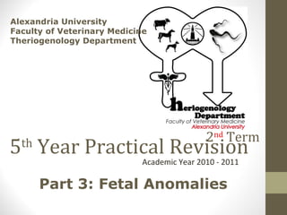 5 th  Year Practical Revision Academic Year 2010 - 2011 Alexandria University Faculty of Veterinary Medicine Theriogenology Department  Part 3: Fetal Anomalies 2 nd  Term 