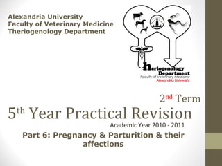 5 th  Year Practical Revision Academic Year 2010 - 2011 Alexandria University Faculty of Veterinary Medicine Theriogenology Department  Part 6: Pregnancy & Parturition & their affections 2 nd  Term 