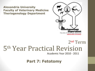5 th  Year Practical Revision Academic Year 2010 - 2011 Alexandria University Faculty of Veterinary Medicine Theriogenology Department  Part 7: Fetotomy 2 nd  Term 