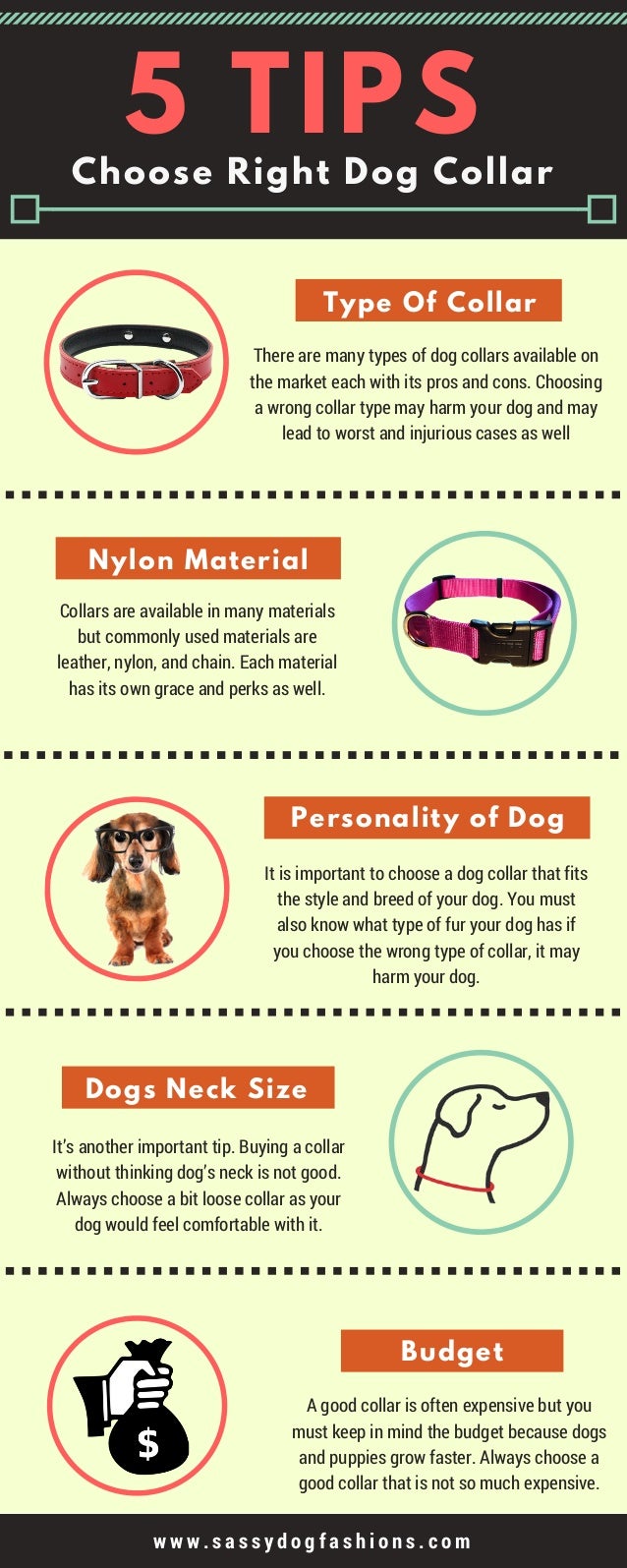 different kinds of dog collars