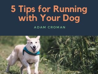 5 Tips for Running
with Your Dog
A D A M C R O M A N
 