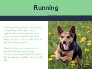 Running
Playing and running outdoors are a
couple ways that dogs love to
spend their time. A great way to
motivate yoursel...