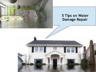 5 Tips on Water
Damage Repair

 