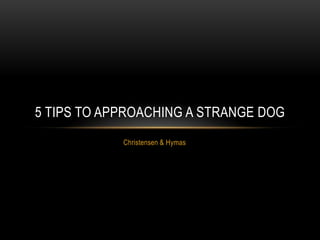 Christensen & Hymas
5 TIPS TO APPROACHING A STRANGE DOG
 
