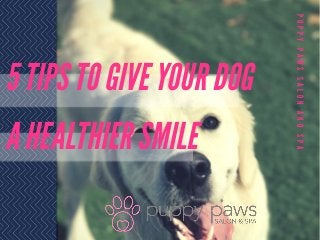 5 TIPS TO GIVE YOUR DOG
A HEALTHIER SMILE
PUPPYPAWSSALONANDSPA
 