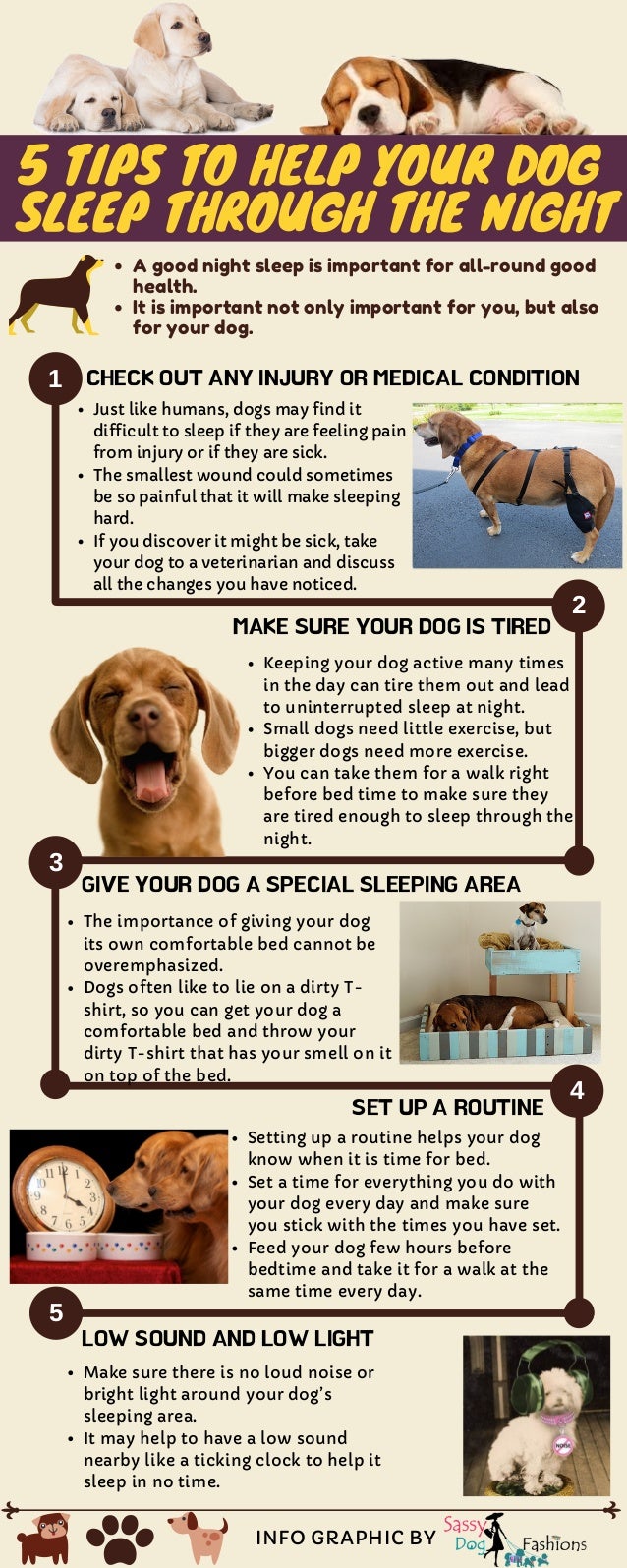 5 Tips To Help Your Dog Sleep Through The Night