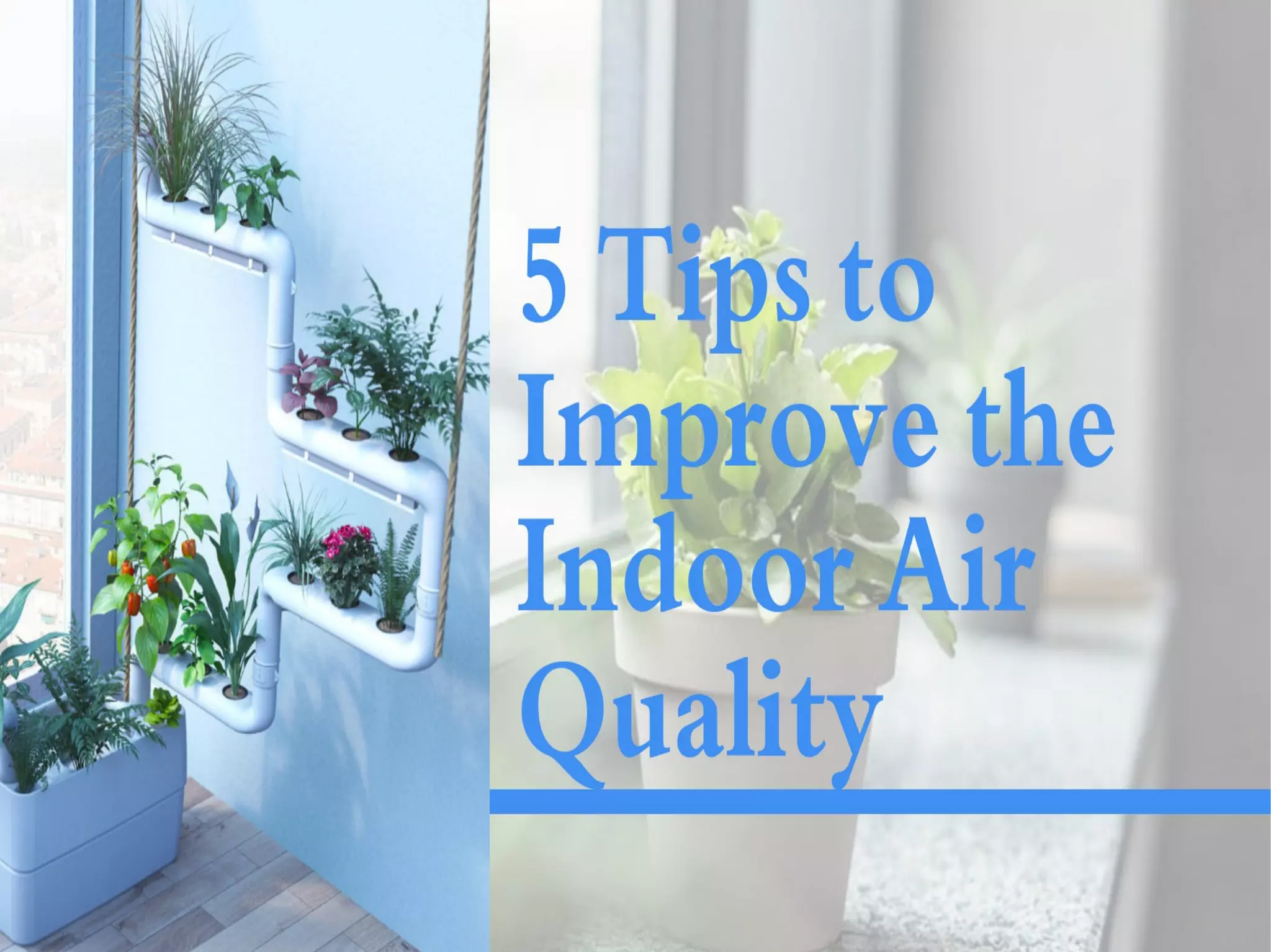 5 Tips to Improve Indoor Air Quality | PPT