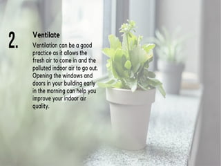 View of The Best Non-Toxic Paints For Your Home (2026) - The Good Trade