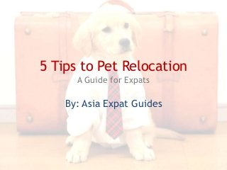 5 Tips to Pet Relocation
A Guide for Expats

By: Asia Expat Guides

 