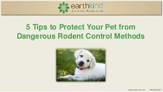 5 Tips to Protect Your Pet from
Dangerous Rodent Control Methods

www.earth-kind.com

1.800.583.2921

 