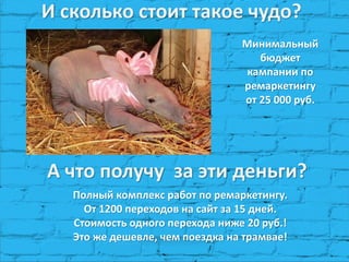 И сколько стоит такое чудо?
Минимальный
бюджет
кампании по
ремаркетингу
от 25 000 руб.
А что получу за эти деньги?
Полный комплекс работ по ремаркетингу.
От 1200 переходов на сайт за 15 дней.
Стоимость одного перехода ниже 20 руб.!
Это же дешевле, чем поездка на трамвае!
 