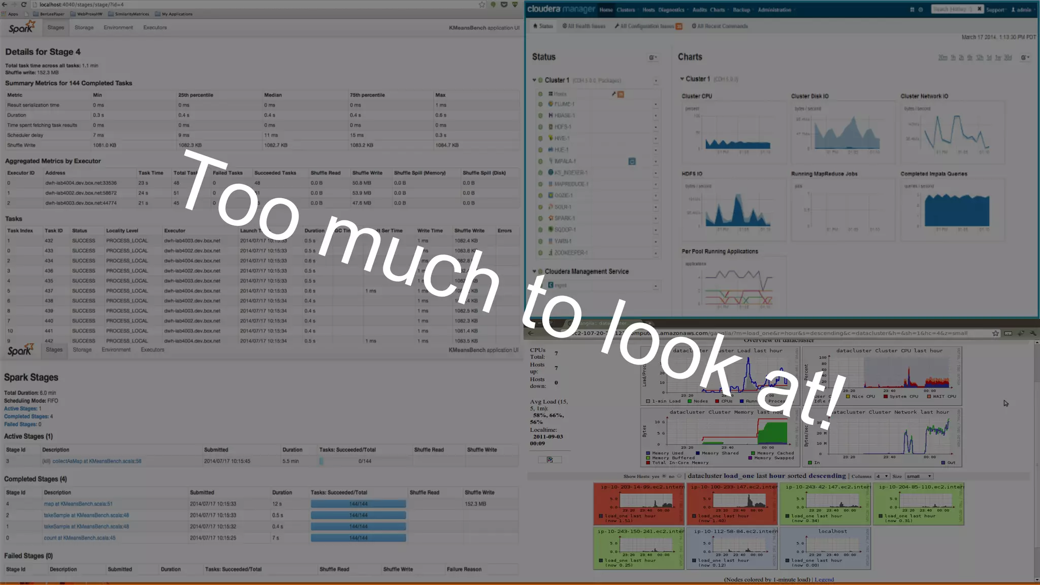 Too much to look at!
 