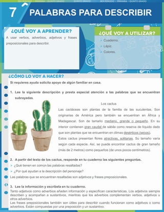 7
Si requieres ayuda solicita apoyo de algún familiar en casa.
1. Lee la siguiente descripción y presta especial atención a las palabras que se encuentran
subrayadas.
Los cactus
Las cactáceas son plantas de la familia de las suculentas. Son
originarias de América pero también se encuentran en África y
Madagascar. Son de tamaño mediano, grande o pequeño. En su
interior contienen gran caudal de sábila como reserva de líquido dado
que son plantas que se encuentran en climas desérticos (secos).
Estos cactus presentan flores atractivas, solitarias. Su tamaño varía
según cada especie. Así, se puede encontrar cactus de gran tamaño
(más de 2 metros) como pequeños (de unos pocos centímetros).
2. A partir del texto de los cactus, responde en tu cuaderno las siguientes preguntas.
 ¿Qué tienen en común las palabras resaltadas?
 ¿Por qué ayudan a la descripción del personaje?
Las palabras que se encuentran resaltadas son adjetivos y frases preposicionales.
3. Lee la información y escríbela en tu cuaderno.
Tanto adjetivos como adverbios añaden información y especifican características. Los adjetivos siempre
describen y acompañan a sustantivos, mientras que los adverbios complementan verbos, adjetivos u
otros adverbios.
Las frases preposicionales también son útiles para describir cuando funcionan como adjetivos o como
adverbios. Están compuestas por una preposición y un sustantivo.
A usar verbos, adverbios, adjetivos y frases
preposicionales para describir.
 Cuaderno.
 Lápiz.
 Colores.
PALABRAS PARA DESCRIBIR
 