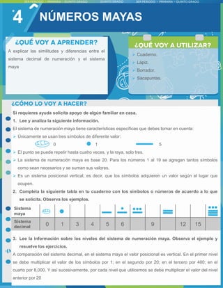 4 NÚMEROS MAYAS
A explicar las similitudes y diferencias entre el
sistema decimal de numeración y el sistema
maya
 Cuaderno.
 Lápiz.
 Borrador.
 Sacapuntas.
Si requieres ayuda solicita apoyo de algún familiar en casa.
1. Lee y analiza la siguiente información.
El sistema de numeración maya tiene características específicas que debes tomar en cuenta:
 Únicamente se usan tres símbolos de diferente valor:
0 1 5
 El punto se puede repetir hasta cuatro veces, y la raya, solo tres.
 La sistema de numeración maya es base 20. Para los números 1 al 19 se agregan tantos símbolos
como sean necesarios y se suman sus valores.
 Es un sistema posicional vertical, es decir, que los símbolos adquieren un valor según el lugar que
ocupen.
2. Completa la siguiente tabla en tu cuaderno con los símbolos o números de acuerdo a lo que
se solicita. Observa los ejemplos.
3. Lee la información sobre los niveles del sistema de numeración maya. Observa el ejemplo y
resuelve los ejercicios.
A comparación del sistema decimal, en el sistema maya el valor posicional es vertical. En el primer nivel
se debe multiplicar el valor de los símbolos por 1; en el segundo por 20; en el tercero por 400; en el
cuarto por 8,000. Y así sucesivamente, por cada nivel que utilicemos se debe multiplicar el valor del nivel
anterior por 20
Sistema
maya
Sistema
decimal 0 1 3 4 5 6 9 12 15
 
