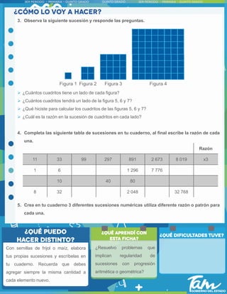 Con semillas de frijol o maíz, elabora
tus propias sucesiones y escríbelas en
tu cuaderno. Recuerda que debes
agregar siempre la misma cantidad a
cada elemento nuevo.
3. Observa la siguiente sucesión y responde las preguntas.
 ¿Cuántos cuadritos tiene un lado de cada figura?
 ¿Cuántos cuadritos tendrá un lado de la figura 5, 6 y 7?
 ¿Qué hiciste para calcular los cuadritos de las figuras 5, 6 y 7?
 ¿Cuál es la razón en la sucesión de cuadritos en cada lado?
4. Completa las siguiente tabla de sucesiones en tu cuaderno, al final escribe la razón de cada
una.
5. Crea en tu cuaderno 3 diferentes sucesiones numéricas utiliza diferente razón o patrón para
cada una.
Razón
11 33 99 297 891 2 673 8 019 x3
1 6 1 296 7 776
10 40 80
8 32 2 048 32 768
¿Resuelvo problemas que
implican regularidad de
sucesiones con progresión
aritmética o geométrica?
 