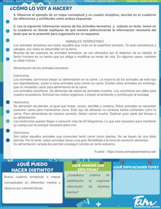 Busca cuadros sinópticos o mapas
conceptuales en diferentes medios y
observa sus características.
4. Observar el ejemplo de un mapa conceptual y un cuadro sinóptico, escribe en tu cuaderno
las diferencias y similitudes entre ambos esquemas.
5. Lee la siguiente información acerca de los animales terrestres y redacta un texto breve en
tu cuaderno en donde expliques de qué manera seleccionarías la información necesaria del
texto que se te presentó para organizarla en un esquema.
ANIMALES TERRESTRES
Los animales terrestres son todos aquellos que viven en la superficie terrestre. Ya sean domésticos o
salvajes, sus vidas se desarrollan en la tierra.
Muchas de las especies de animales terrestres, se ven afectados por el deterioro de su hábitat, el
factor humano es un hecho que los obliga a modificar su modo de vida. En algunos casos, cambian
su dieta incluso.
Alimentación de los animales terrestres
Carnívoros
Los animales carnívoros basan su alimentación en la carne. La mayoría de los animales de este tipo
son depredadores, cazan a otros animales para comer su carne. Existen otros animales sin embargo,
que no necesitan cazar para alimentarse de la carne.
Los animales carroñeros. Se alimentan de restos de animales muertos. Los carroñeros son útiles para
nuestro ecosistema. Eliminan los restos orgánicos. Limpian el ambiente y contribuyen al reciclaje.
Herbívoros
Se alimentan de plantas, al igual que frutas, raíces, semillas y madera. Estos animales no necesitan
consumir carne para mantenerse vivos. Este tipo de alimento no contiene tantos nutrientes como la
carne. Para alimentarse de manera correcta, deben comer mucho. Dedican gran parte del tiempo a
su alimentación.
Los herbívoros pueden llegar a consumir más de 40 kilogramos. Lo que sea necesario para mantener
su cuerpo con la energía necesaria para vivir.
Omnívoros
Son todos aquellos animales que consumen tanto carne como plantas. No se basan de una dieta
estricta. Por lo tanto, estos animales tienen una gran flexibilidad a la hora de consumir alimentos.
Su alimentación variada les permite conseguir comida sin tanto esfuerzo.
Fuente: https://www.animalesterrestres.net/
¿Establezco criterios de
clasificación al organizar
información de diversas
fuentes?
 