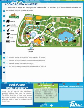 Jugar tiro al blanco con fracciones,
puedes utilizar las que tu gustes.
También describe la ruta que sigues
para ir de tu casa a la escuela, así como
algunos lugares que se encuentran al
recorrerla.
3. Observa el mapa del zoológico de Tamatán de Cd. Victoria y en tu cuaderno describe los
recorridos o rutas que se te piden.
 Para ir desde el acceso al parque hasta el aviario.
 Desde el zoobus hasta los animales asombrosos.
 Desde el león hasta el oso negro.
 La ruta que seguirías para recorrer todo el parque.
¿Uso el cálculo mental para
resolver adiciones con
números fraccionarios y
decimales y describo rutas
para ir de un lugar a otro?
 