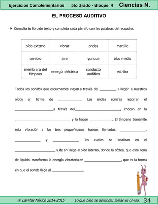 ® Lainitas México 2014-2015 Lo que bien se aprende, jamás se olvida. 34
EL PROCESO AUDITIVO
 Consulta tu libro de texto y completa cada párrafo con las palabras del recuadro.
oído externo vibrar ondas martillo
cerebro aire yunque oído medio
membrana del
tímpano
energía eléctrica
conducto
auditivo
estribo
Todos los sonidos que escuchamos viajan a través del _________ y llegan a nuestros
oídos en forma de _____________. Las ondas sonoras recorren el
_____________________a través del_________________________, chocan en la
______________________________ y la hacen ____________. El tímpano transmite
esta vibración a los tres pequeñísimos huesos llamados: ______________,
______________ y ______________, los cuales se localizan en el
______________________ y de ahí llega al oído interno, donde la cóclea, que está llena
de líquido, transforma la energía vibratoria en ____________________, que es la forma
en que el sonido llega al _________________.
Ejercicios Complementarios 5to Grado - Bloque 4 Ciencias N.
 