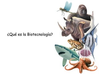 ¿Qué es la Biotecnología? 