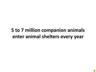 5 to 7 million companion animals
enter animal shelters every year

 