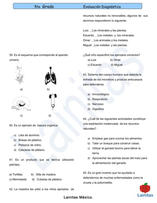 5to Grado                        Evaluación Diagnóstica

                                                     recursos naturales no renovables, algunos de sus
                                                     alumnos respondieron lo siguiente:


                                                     Luis: _ Los minerales y las plantas.
                                                     Eduardo: _ Los metales y los minerales.
                                                     Omar: _ Los animales y los metales.
                                                     Miguel: _Los metales y las plantas.


39. Es el esquema que corresponde al aparato         ¿Qué niño especificó los ejemplos correctos?
urinario.                                                a) Luis             b) Omar
                                                         c) Eduardo           d) Miguel


                                                     43. Sistema del cuerpo humano que detecta la
                                                     entrada de los microbios y produce anticuerpos
                                                     para defenderse.
            a)                b)
                                                         a) Inmunológico
                                                         b) Respiratorio
                                                         c) Nervioso
                                                         d) Digestivo

            c)                 d)
                                                     44. ¿Cuál de las siguientes actividades constituye
                                                     una explotación inadecuada de los recursos
40. Es un ejemplo de basura orgánica.
                                                     naturales?

    a) Lata de aluminio.
                                                         a) Emplear gas para cocinar los alimentos.
    b) Bolsas de plástico.
                                                         b) Talar un bosque para construir casas.
    c) Pedazos de vidrio.
                                                         c) Utilizar el ganado bovino para labrar la
    d) Cáscaras de plátano.
                                                             tierra.
                                                         d) Aprovechar las plantas secas del maíz para
41. Es un producto que se fabrica utilizando
                                                             la alimentación del ganado.
petróleo.

                                                     45. Es un gran invento que ha ayudado a
a) Tortillas     b) Silla de madera
                                                     defendernos de muchas enfermedades como la
c) Mermelada      d) Cubetas de plástico
                                                     viruela y la poliomielitis.

42. La maestra les pidió a los niños ejemplos de

                                           Lainitas México.
 