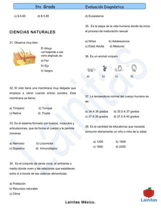 5to Grado                            Evaluación Diagnóstica

   c) $ 6.85          d) $ 5.85                          d) Ecosistema


                                                         35. Es la etapa de la vida humana donde da inicio

CIENCIAS NATURALES                                       el proceso de maduración sexual.


31. Observa muy bien                                     a) Niñez            b) Adolescencia
                                                         c) Edad Adulta      d) Madurez
                          El dibujo
                          corresponde a una
                          vista ampliada de:             36. Es un animal vivíparo
                          a) Piel
                          b) Ojo
                          c) Sangre
                                                          a)          b)         c)            d)



32. El oído tiene una membrana muy delgada que
empieza a vibrar cuando entran sonidos. Esta
                                                         37. La temperatura normal del cuerpo humano es
membrana se llama:
                                                         de:

a) Tímpano              b) Yunque
                                                         a) 34 A 36 grados      b) 35.5 A 37 grados
c) Retina               d) Pupila
                                                         c) 37 A 39 grados      d) 37.5 A 40 grados

33. Es el sistema formado por huesos, músculos y
                                                         38. Es la cantidad de kilocalorías que necesita
articulaciones, que da forma al cuerpo y le permite
                                                         consumir diariamente un niño o niña de tu edad.
moverse.

                                                               a) 1200            b) 1600
a) Nervioso          b) Locomotor
                                                               c) 1800            d) 2200
c) Digestivo         d) Inmunológico




34. Es el conjunto de seres vivos, el ambiente o
medio donde viven y las relaciones que establecen
entre sí a través de las cadenas alimenticias:


a) Población
b) Recursos naturales
c) Clima


                                               Lainitas México.
 