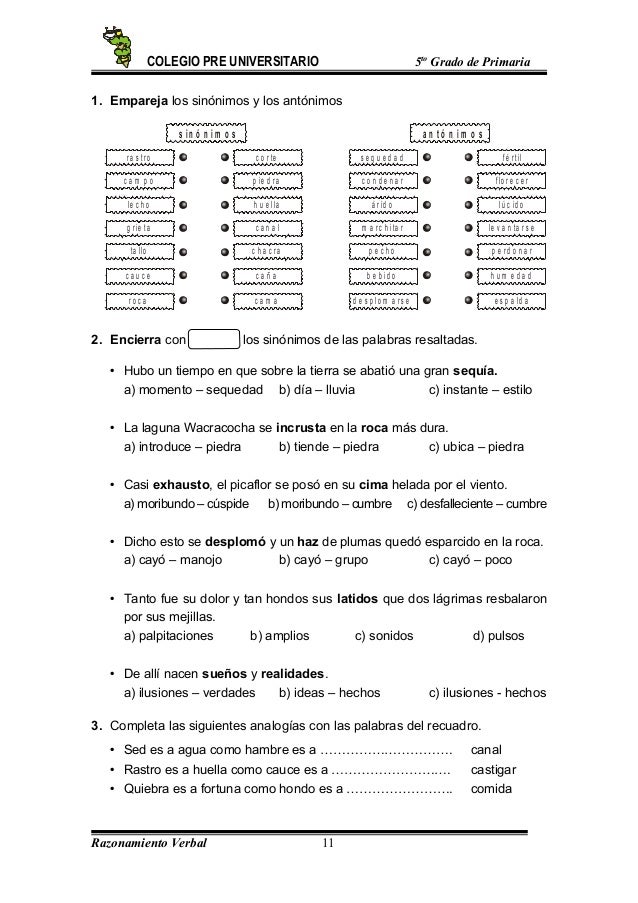 5to grado rv