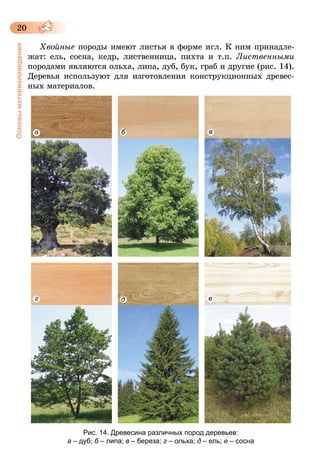 20
Основыматериаловедения
Хвойные породы имеют листья в форме игл. К ним принадле-
жат: ель, сосна, кедр, лиственница, пихта и т.п. Лиственными
породами являются оль­ха, липа, дуб, бук, граб и другие (рис. 14).
Деревья используют для изготовления конструкционных древес-
ных материалов.
a
г
б в
д е
Рис. 14. Древесина различных пород деревьев:
а – дуб; б – липа; в – береза; г – ольха; д – ель; е – сосна
 