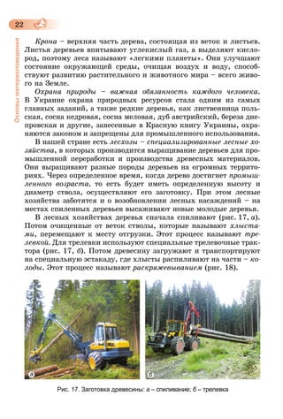 22
Основыматериаловедения
Крона – верхняя часть дерева, состоящая из веток и листьев.
Листья деревьев впитывают углекислый газ, а выделяют кисло-
род, поэтому леса называют «легкими планеты». Они улучшают
состояние окружающей среды, очищая воздух и воду, способ-
ствуют развитию растительного и животного мира – всего живо-
го на Земле.
Охрана природы – важная обязанность каждого человека.
В Украине охрана природных ресурсов стала одним из самых
главных заданий, а такие редкие деревья, как лиственница поль-
ская, сосна кедровая, сосна меловая, дуб австрийский, береза дне-
провская и другие, занесенные в Красную книгу Украины, охра-
няются законом и запрещены для промышленного использования.
В нашей стране есть лесхозы – специализированные лесные хо­
зяйства, в которых производится выращивание деревьев для про-
мышленной переработки и производства древесных материалов.
Они выращивают разные породы деревьев на огромных террито-
риях. Через определенное время, когда дерево достигнет промыш­
ленного возраста, то есть будет иметь определенную высоту и
диаметр ствола, осуществляют его заготовку. При этом лесные
хозяйства заботятся и о возобновлении лесных насаждений – на
местах спиленных деревьев высаживают новые молодые деревья.
В лесных хозяйствах деревья сначала спиливают (рис.  17,  а).
Потом очищенные от веток стволы, которые называют хлыста­
ми, перемещают к месту отгрузки. Этот процесс называют тре­
левкой. Для трелевки используют специальные трелевочные трак-
тора (рис. 17, б). Потом древесину загружают и транспортируют
на специальную эстакаду, где хлысты распиливают на части – ко­
лоды. Этот процесс называют раскряжевыванием (рис. 18).
Рис. 17. Заготовка древесины: а – спиливание; б – трелевка
a б
 