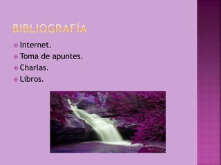  Internet.
 Toma de apuntes.
 Charlas.
 Libros.
 