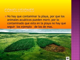  No hay que contaminar la playa, por que los
animales acuáticos pueden morir, por lo
contaminado que esta en la playa no hay que
seguir los ejemplo de los de mas.
 