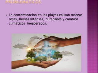 • La contaminación en las playas causan mareas
rojas, lluvias intensas, huracanes y cambios
climáticos inesperados.
 