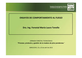 ENSAYOS DE COMPORTAMIENTO AL FUEGO
Dra. Ing. Forestal María Laura Tonello
JORNADA FORESTAL TECNOLÓGICA
“Proceso, producto y gestión de la madera de pino ponderosa ”
BARILOCHE, 22 y 23 de abril de 2013
 