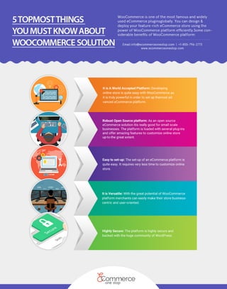 5 Topmost Things You Must Know About WooCommerce Solution