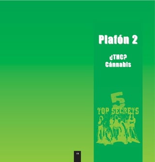 Plafón 2
       ¿THC?
      Cánnabis




19
 