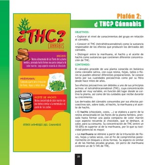 Plafón 2:
                 ¿ THC? Cánnabis
OBJETIVOS:
• Explorar el nivel de conocimientos del grupo en relación
al cánnabis.
• Conocer el THC (tetrahidrocannabinol) como la sustancia
responsable de los efectos que producen los derivados del
cánnabis.
• Distinguir entre la marihuana, el hachís y el aceite de
hachís como sustancias que contienen diferente concentra-
ción de THC.
CONTENIDO:
El cánnabis procede de una planta conocida en botánica
como cánnabis sativa, con cuya resina, hojas, tallos o flo-
res se pueden obtener diferentes preparaciones. Se conoce
tanto por sus cualidades psicoactivas como por su fibra
desde hace miles de años.
Sus efectos psicoactivos son debidos a uno de sus principios
activos: el tetrahidrocannabinol (THC), cuya concentración
puede ser muy variable, en función del lugar donde se cul-
tiva la planta, así como de los cuidados que recibe durante
su crecimiento.
Los derivados del cánnabis consumidos por sus efectos psi-
coactivos son, sobre todo, el hachís, la marihuana y el acei-
te de hachís.
• El hachís (chocolate, costo, …) se elabora a partir de la
resina almacenada en las flores de la planta hembra, pren-
sada hasta formar una pasta compacta de color marrón
cuyo aspecto recuerda al chocolate, que se deshace, al
calor, para su consumo. Su concentración de THC (entre un
10-20%) es superior al de la marihuana, por lo que su toxi-
cidad potencial es mayor.
• La marihuana se obtiene a partir de la trituración de flo-
res, hojas y tallos secos, con el fin de comprimirlos poste-
riormente en bloques u otras formas. Su aspecto es similar
al de las hierbas picadas gruesas. Un porro de marihuana
contiene un de 5-14% de THC.



 20
 