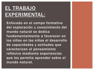 Enfocado en el campo formativo
del exploración y conocimiento del
mundo natural se dedica
fundamentalmente a favorecer en
los niños en las niñas el desarrollo
de capacidades y actitudes que
caracterizan el pensamiento
reflexivo mediante experiencias
que les permita aprender sobre el
mundo natural.
EL TRABAJO
EXPERIMENTAL: