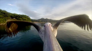 S O C I A L G O O D +
B U S I N E S S M O D E L
I N N O VAT I O N A S
P R E M I S S E S
# 3
 