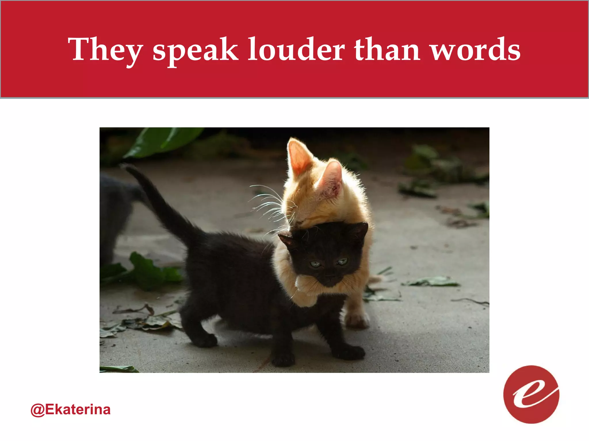 They speak louder than words




@Ekaterina
 