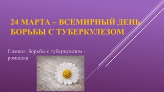 24 МАРТА – ВСЕМИРНЫЙ ДЕНЬ
БОРЬБЫ С ТУБЕРКУЛЕЗОМ
Символ борьбы с туберкулезом –
ромашка
 