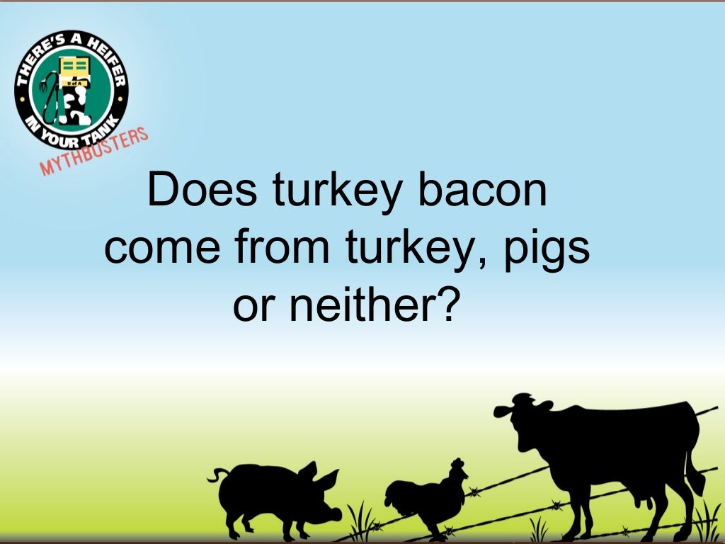 Does Turkey Bacon Come From Turkeys Pigs Or Neither does-turkey-bacon-come-from-turkeys-pigs-or-neither