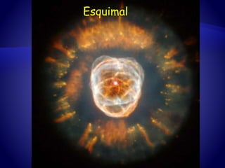 Esquimal
 