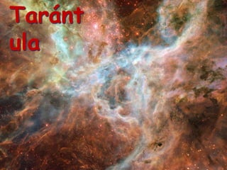 Projecte L'Univers on vivim